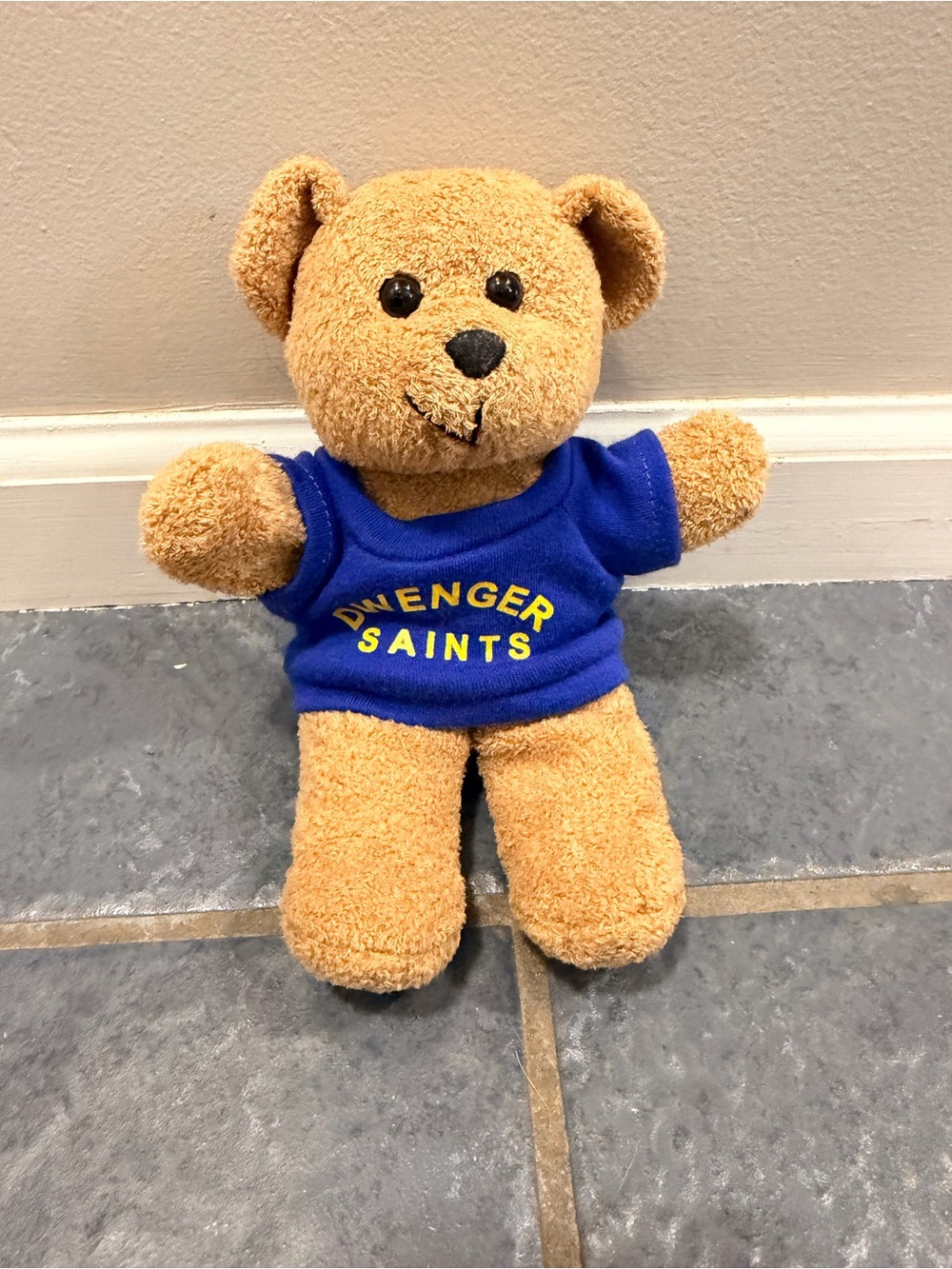 Plush Teddy Bear with Blue Shirt - NWOT